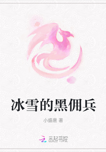 冰雪的黑傭兵