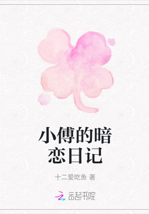 小傅的暗戀日記