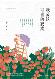 我愛這可喜的寂寞：老舍經(jīng)典散文
