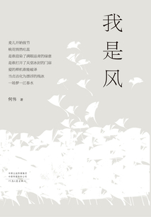 我是風