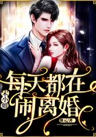 宋小姐每天都在闹离婚在线阅读