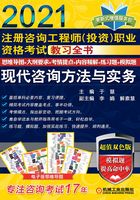 注冊咨詢工程師（投資）職業資格考試教習全書：現代咨詢方法與實務（2021）在線閱讀