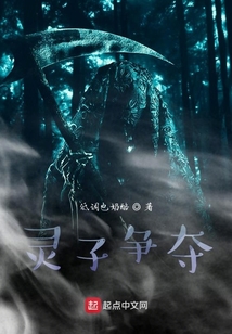 靈子爭(zhēng)奪
