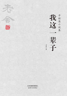 我這一輩子：中短篇小說集