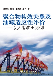 聚合物構效關系及油藏適應性評價：以大港油田為例