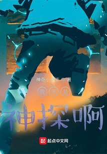 我不是神探啊