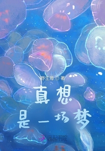 真想是一場(chǎng)夢(mèng)