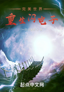 完美世界重生閃電子