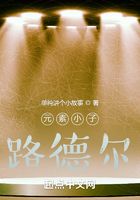 元素小子路德爾在線閱讀