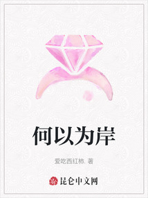 何以為岸