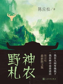 神農野札