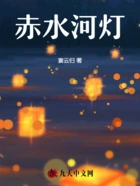 赤水河灯在线阅读