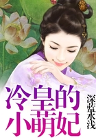 冷皇的小萌妃在線閱讀