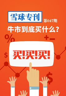 雪球?qū)？?47期：牛市到底買什么？