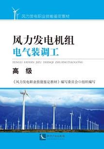風力發電機組電氣裝調工：高級