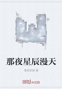 那夜星辰漫天