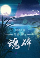靈貓傳之魂碎在線閱讀