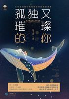 孤獨又璀璨的你在線閱讀