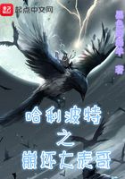 哈利波特之崩壞大表哥在線閱讀