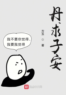 丹求子安