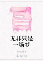 无非只是一场梦在线阅读