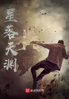 星落天渊