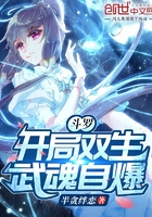 斗罗:开局双生武魂自爆