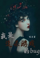 我是追殺游戲的bug在線閱讀