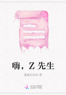 嗨，Z先生