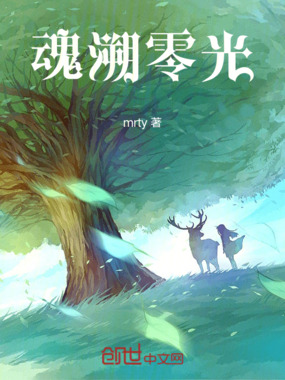 魂溯零光在线阅读