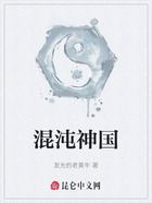 混沌神国在线阅读