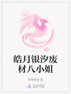 皓月银汐废材八小姐在线阅读