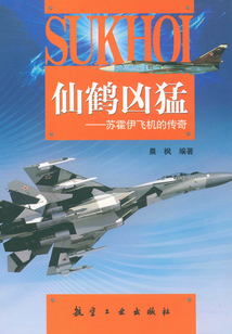 仙鶴兇猛：蘇霍伊飛機的傳奇