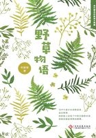 野草物语