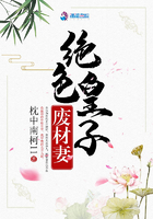 绝色皇子废材妻在线阅读