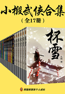 小椴武侠合集(全17册)