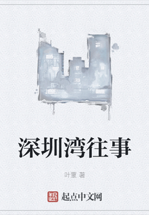 深圳灣往事
