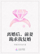 离婚后，前妻跪求我复婚在线阅读