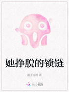 她挣脱的锁链在线阅读