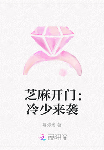 芝麻开门:冷少来袭