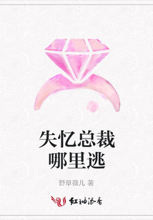 失忆总裁哪里逃