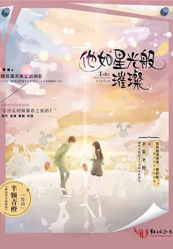 他如星光般璀璨 封面