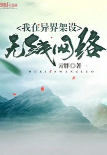 I Set up a Wireless Network in Another World