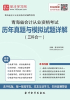 青海省会计从业资格考试历年真题与模拟试题详解（三科合一）在线阅读