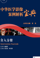 中华医学影像案例解析宝典：介入分册