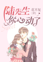 陆先生你心动了在线阅读