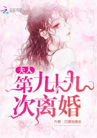 夫人第九十九次离婚在线阅读