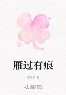 雁過有痕