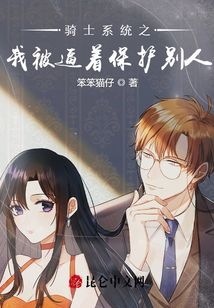 騎士系統之我被逼著保護別人