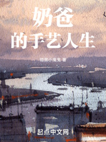 奶爸的手艺人生 cover